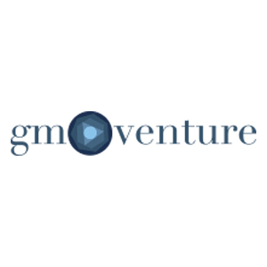 gm venture